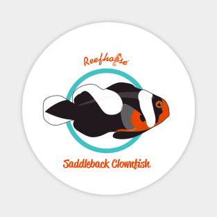 Saddleback Clownfish Magnet